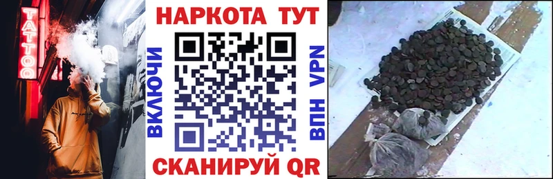 Где найти наркотики Купино КОКАИН Мефедрон кракен зеркало Канабис Alpha-PVP