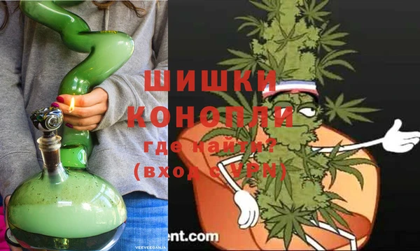 прущие грибы Белоозёрский