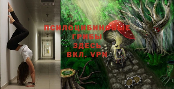ECSTASY Дубна
