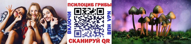 darknet Telegram  Купино  Галлюциногенные грибы прущие грибы  купить  